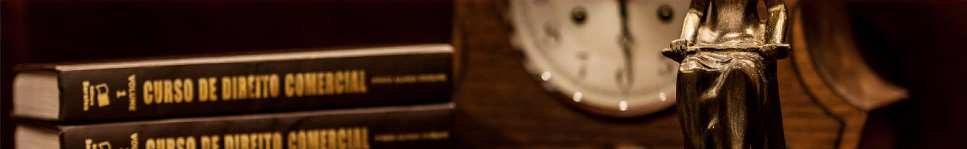 中银（东莞）律师事务所